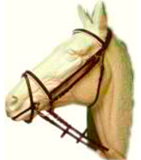 Cabezadas de Montar